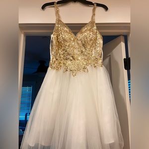 Dana quince dress